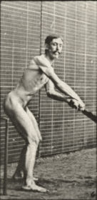 Plate 293 Cricket, batting and back cut — figure reference